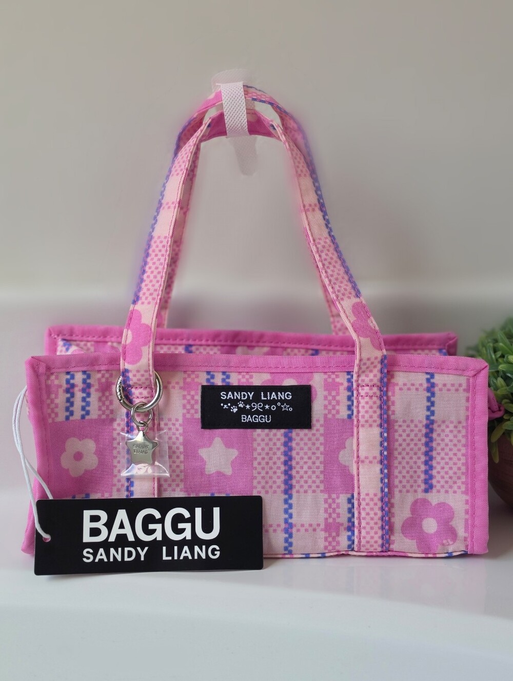 Sandy Liang Baggu
